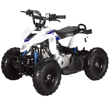 TaoTao 110-DG kids ATV