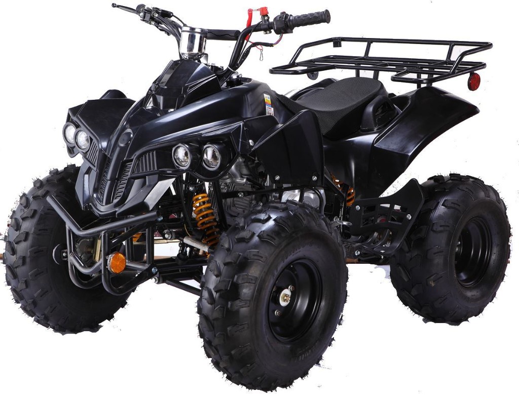 TaoTao 125-E kids ATV